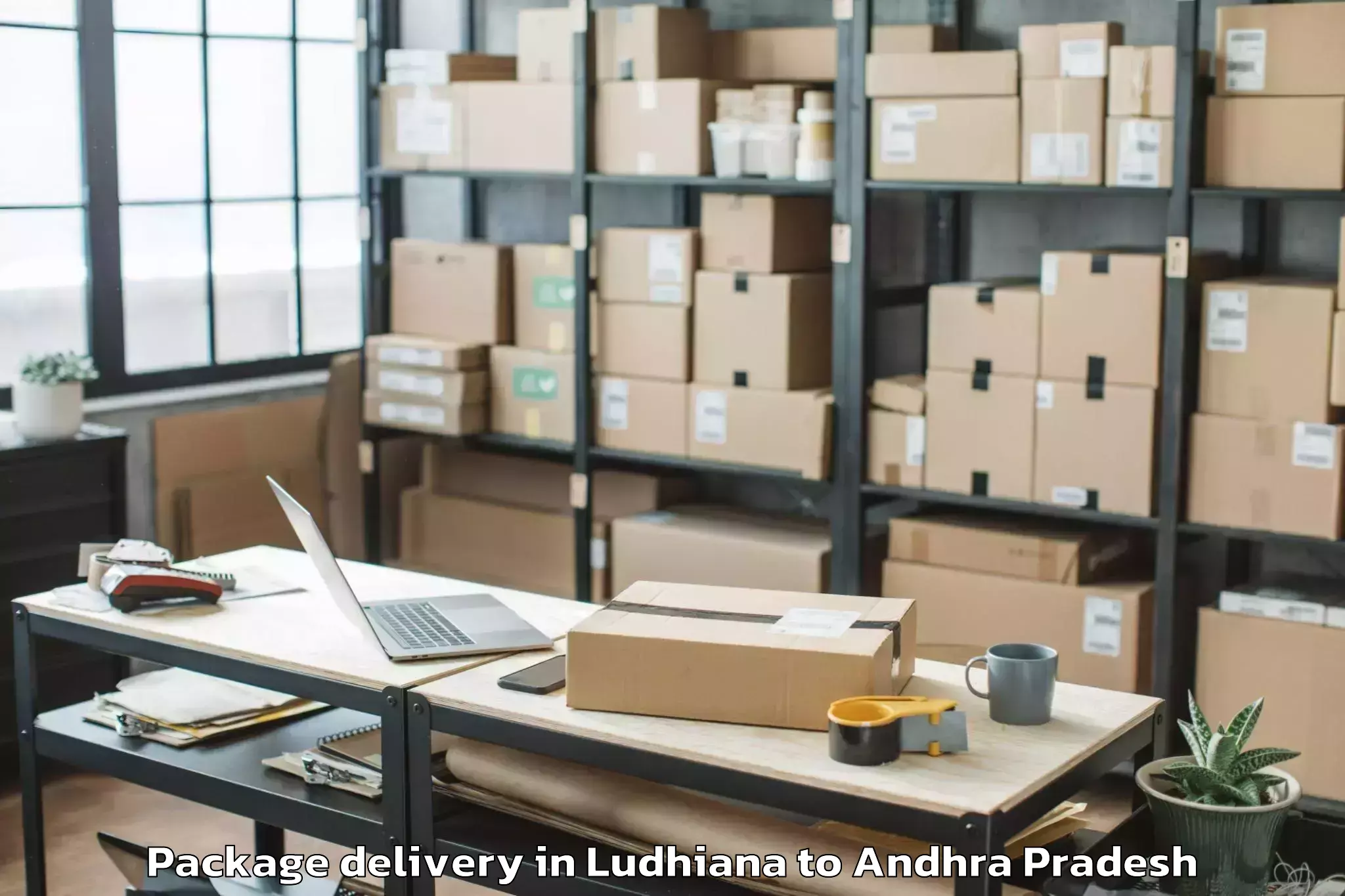 Professional Ludhiana to Buchinaidu Kandriga Package Delivery